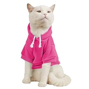 QWINEE Basic Dog Hoodie, Dog Warm Jacket, Cat Apparel, Dog Shirt, Dog Clothes for Puppy Kitten Small Medium Dogs Cats Hot Pink M
