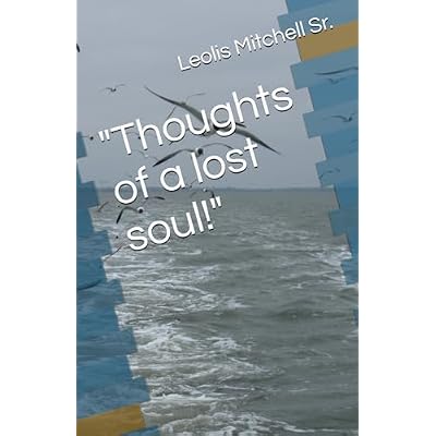 Thoughts of a lost soul