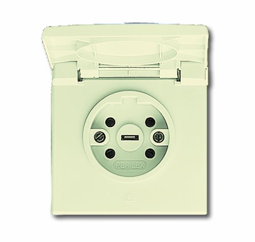 Busch-Jaeger Douille 2064 UG 101 appareillage électrique encastrable gris