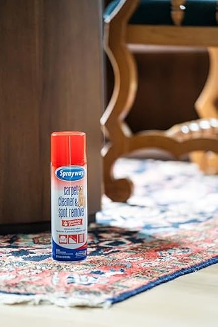 Sprayway Carpet Cleaner (Pet), 19oz, Pack of 6 | Removes Pet Stains & Odors, Foaming Action | Deep Cleans Carpets & Upholstery | Fresh Scent, Quick-Drying Formula