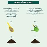 Il Paese Verde B07RYKV9NB lato 4