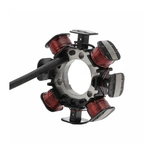 Bobine pour stator TTR230 entretien et réparation de moteur