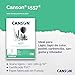 CANSON 1557 120gsm A4 White Sketch Paper Pad, Light Grain, Glued Short Side, 50 Extra White Sheets, Ideal for Professional Artists & Students