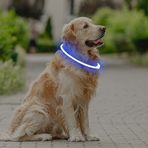 Coolzon LED Leuchthalsband Hundehalsband Aufladbar, Wasserdicht Halsband Hund 3 Modi, Leuchtband Hund Halsband Längenverstellbareres Super Helle Kalsband Katze und Hunde Klein Groß Mittel, Blau