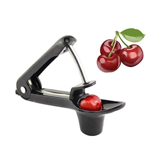 Obecome Cherry Pitter Tool, Heavy Duty Olive Pitter Tool,Cherry Stoner Pitter Core Remover, Portable Cherry Pitter kitchen aid with Space-Saving Lock Design - Black