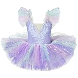 Adjustable Strap Professional Ballet Tutu for Girls 3-11, Classical Pancake Performance Costume, Stiff Tulle Ballerina Dress for Formal Dance Competitions(US, Age, 8 Years, 9 Years, Purple)