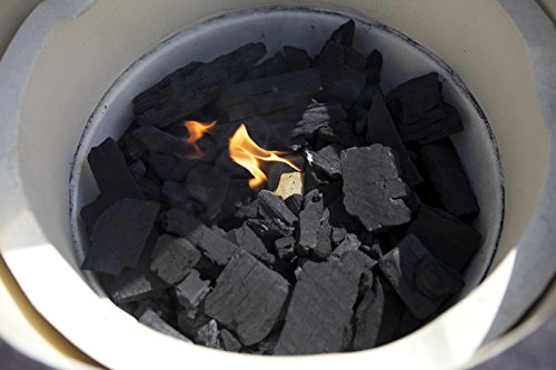 Big Cp 20-Pound Bag Of Natural Lump Charcoal #TOP2