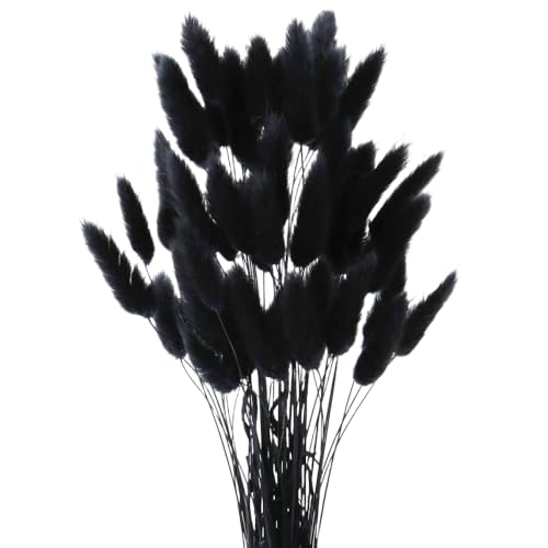 MHDAMAI Secas Naturales Cola de Conejo Flor,Hierba Seca de Cola de Conejo 60pcs Hierba de Pampas Secas para La Sala de Estar del Hogar Decoración de Racimos de Flores,Negro