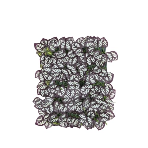 Schermo di Privacy Espandibile per Recinzione | Decorazione Per Sfondo Flessibile | Rotolo Schermante Di Siepe Artificiale - Per Amici Studenti Adulti Uomini Donne Soggiorno Balcone Patio Cortile Este