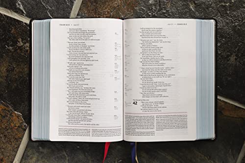 Niv, Life Application Study Bible, Third Edition, Genuine Leather, Cowhide, Black, Art Gilded Edges,