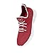 FOCO Tampa Bay Buccaneers NFL Mens Team Color Sneakers