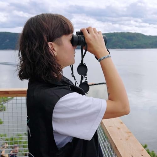 Radio T&ecirc;tards au Qu&eacute;bec - A la d&eacute;couverte des c&eacute;tac&eacute;s du Saint-Laurent