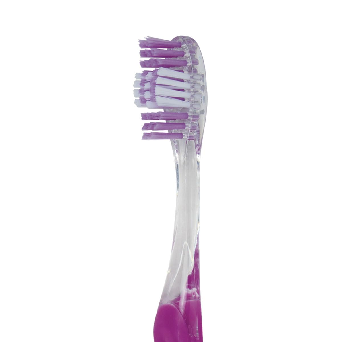 SmartSmile Szczoteczki do zębów dla dorosłych miękkie włosie z przezroczystym uchwytem 72 szt. różne kolory #21-552