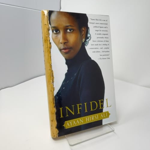 Infidel view 2