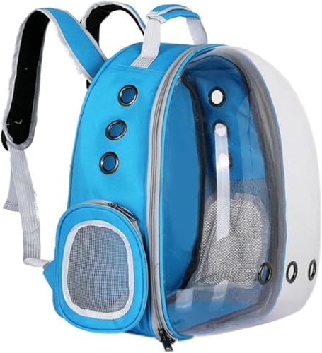 Momgla FDL[P[X Lƌp ܂肽݃bN^ybgobO eʁEϋv UVJbgEʋCǍD Spbht sɍœKȓfUC ()