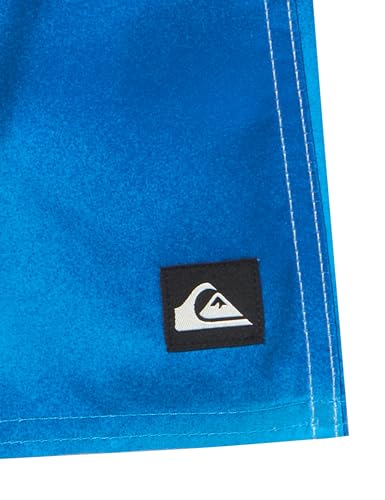 Quiksilver Boys Everyday Panel 13 Boardshort Swim Trunk Youth4