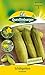 Produktbild Quedlinburger Saatgut Schälgurke, Kampino Samen
