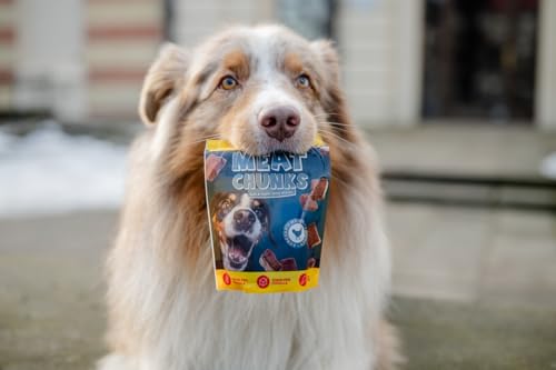 JOSERA Meat Chunks Chicken (8 x 70 g) | Adult | Premium Snack für Hunde mit Huhn | 90% Fleischanteil - super schmackhaft | zuckerfrei & getreidefrei | schonend getrocknetes Leckerli | 8er Pack