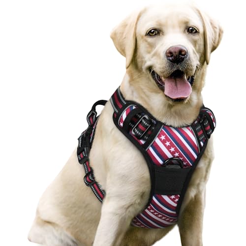 Image of rabbitgoo Dog Harness No Pull with 2 Leash Clips, Adjustable Soft Padded, Reflective Oxford No Choke Pet Vest with Easy Control Handle for Large Dogs, Red Stripe, L