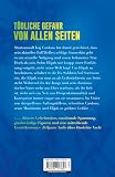 Finstere Wasser: Thriller | Die Fortsetzung der Spiegel-Bestseller-Reihe aus New Orleans: 2