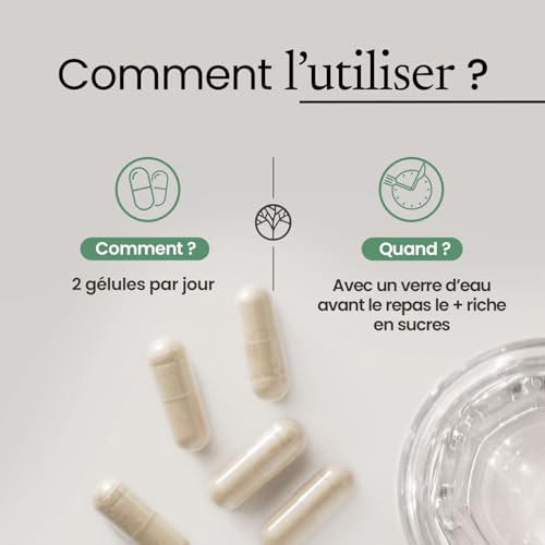 Complexe GLYCÉMIE pour éviter les coups de barre après le repas