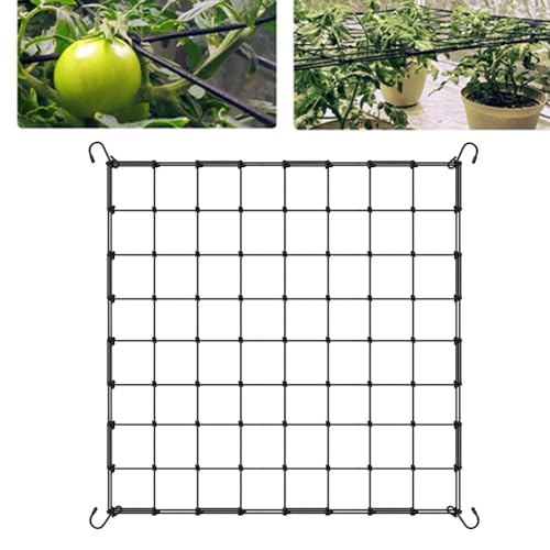 Red de protección de verduras, red de nailon para jardín de frutas, CuiCanfla Crecer tienda de campaña, (60 x 60 cm) Red elástica con 4 ganchos, red para plantas, verduras, flores, frutas