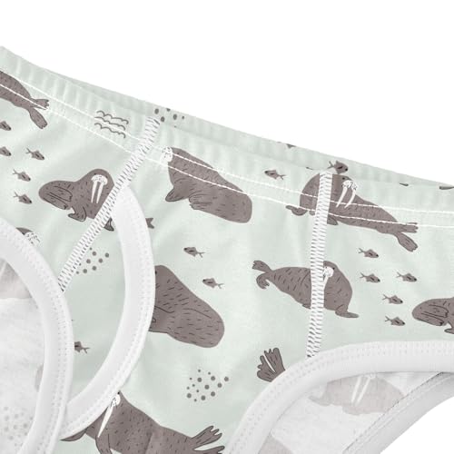 Boys' Underwear Cotton Little Boys Walrus Briefs Soft Toddler Underwear 2T-8Y4