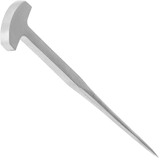 Eel Spike, 304 Stainless Steel Japanese Style Kill Fish Nail T Shaped Fish Eel Spike for Home Kitchen Restaurant