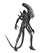 NECA Alien 40TH Anniversary Big CHAP 1/4 Scale AF