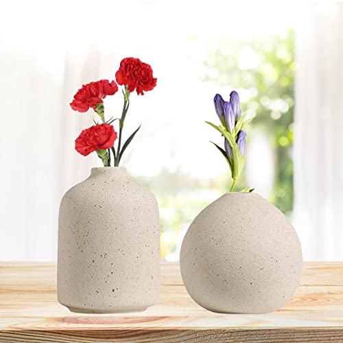 gazechimp Vaso de cerâmica, Vaso de Flores decoração interior ao ar livre elegante vaso de mesa Deco