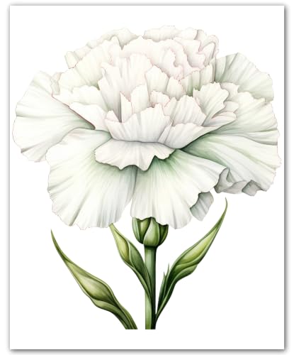White Carnation Double Bloom 8x10 Unframed White Carnation Botanical Print