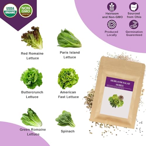 Salad Greens Seed Pod Kit for AeroGarden, iDoo, Ahopegarden, MUFGA with Red/Green Romain/American Fast/Buttercrunch/Parris Island Lettuce, Spinach - Compatible with All Garden(8-Pod) by Majero - Used condition - Image 2