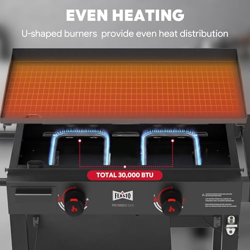 Image of FEASTO 28 inch 2-Burner Propane Gas Griddle, 30,000 BTU, 458 Sq. In., Black