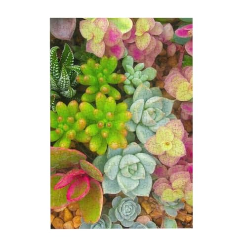 美しい多肉植物 300ピース ジグソーパズル 大人向け難しい 破片なし カチっとハマる 誕生日 おしゃれ インテリア ギフトハウス (38×26cm)