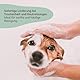 amusi Hundeshampoo 250 ml – Flohshampoo Hund – Hundeshampoo Langhaar und Welpenshampoo – Hundeshampoo gegen Geruch – Sanftes Hundeshampoo mit neutralem pH-Wert