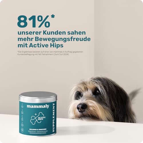 11-in-1 Grünlippmuschel Hund Gelenktabletten - Happy Hips 110 Leckerli (325g) von mammaly - Gelenk- & Knochenschutz für Hunde - Praktische Alternative zu Kapseln & Grünlippmuschelpulver für Senior