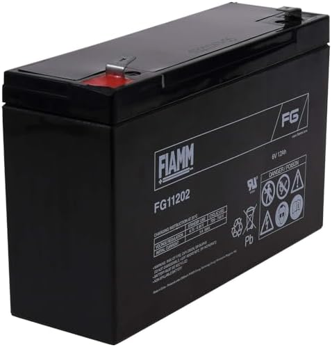 BATTERIA FIAMM 12FGL100 Tecnologia AGM - 12V 100 Ah La casa della Batteria