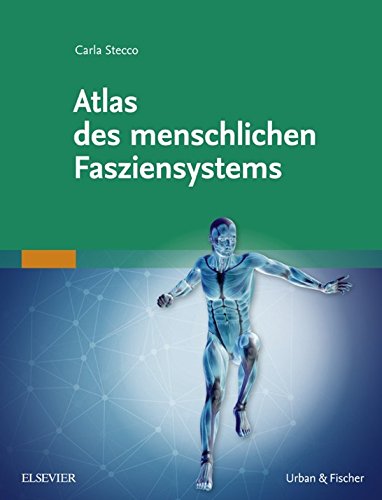 筋膜 Functional Atlas Carla Stecco 洋書 Amazon.co.jp: Carla Stecco: 本、バイオグラフィー、最新アップデート