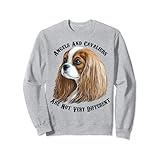 ブレンハイム キャバリアキング チャールズ・スパニエル トレーナー