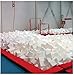 Foamma White Foam Pit Cubes/Blocks 5” x 5” x 5” 100 Pack for Gymnastics, Freerunning and Parkour Courses, Skateboard Parks, BMX, Trampoline Arenas