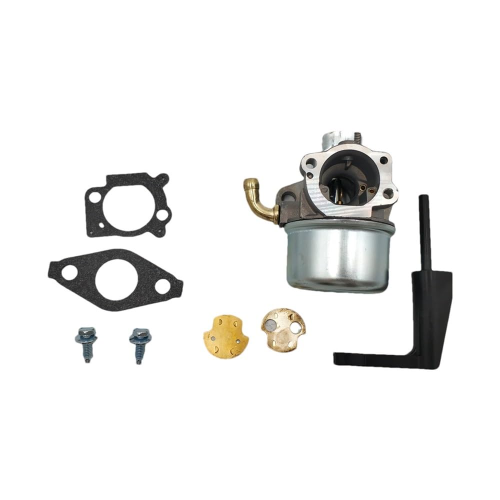 Carburateur BS 206 complet pour l'entretien facile de votre jardin