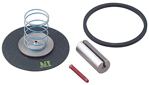 Dayton Valve Rebuild Kit, for Use with 1A579