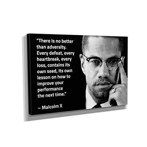 Malcolm X Quote Canvas Art Wall Art Home Decor (36in x 24in Gallery Wrapped)