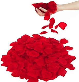 3000PCS Red Rose Petals Fake Flower, Rose Petals for Bed & Valentines Decorations, Marry Me Decorations, Artificial Rose Petals