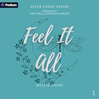 Page de couverture de Feel It All