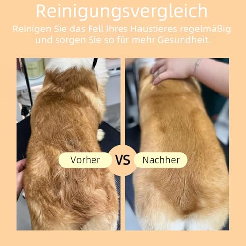 2025 New Fellblitz-BüRste,mit langen und kurzen Edelstahlmetallzähnen zum Entfernen von Haaren und Knoten,Selbstreinigender Haustierkamm,Geeignet für Hunde und Katzen(Orange)