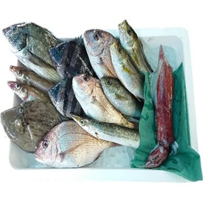若狭の恵み 鮮魚ボックス(種類はお任せ)