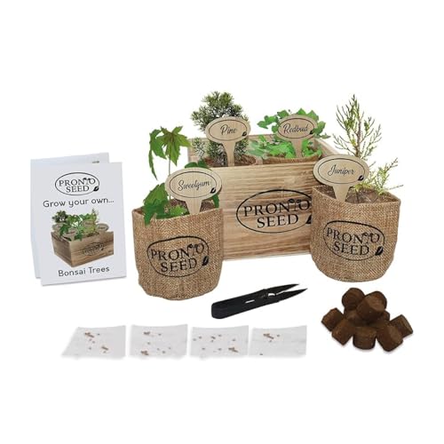Pronto Seed Grow Your Own Bonsai Tree Kit - Indoor Gardening Gifts for Women and Men - Bonsai Tree Indoor Plant - Great Fathers Day Gift - in Reusable Wooden Box Complete with Bonsai Trimming Tool Pronto Seed Grow Your Own Bonsai Tree Kit - Indoor Gardening Gifts for Women and Men - Bonsai Tree Indoor Plant - Great Fathers Day Gift - in Reusable Wooden Box Complete with Bonsai Trimming Tool