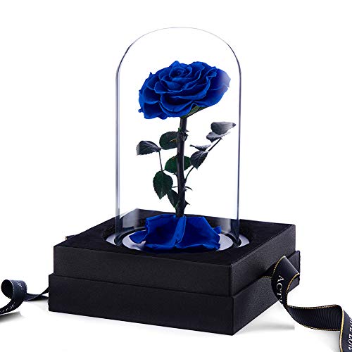 Puto Preserved Real Rose Eternal Rose In Glass Dome Gift For Her Thanksgiving Christmas Valentine's Day Birthday Mother's Day (Blue, Large) #TOP2