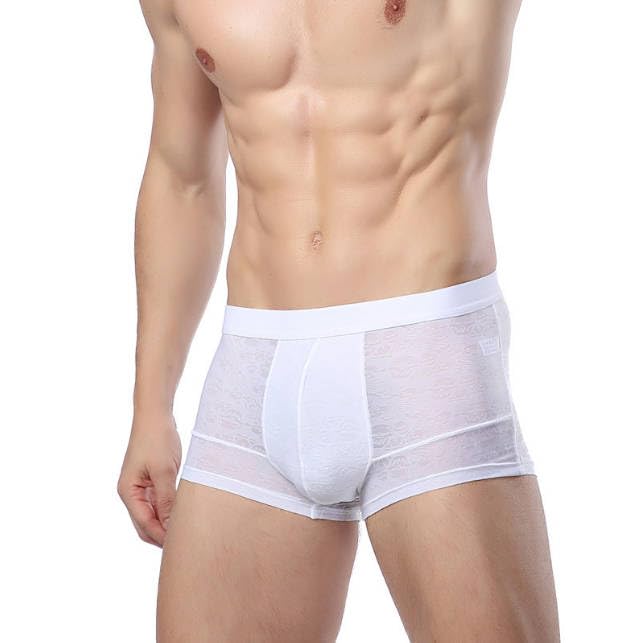 3 Pcs Men's Ice Sliky Fiber Breathable Boxer Briefs4